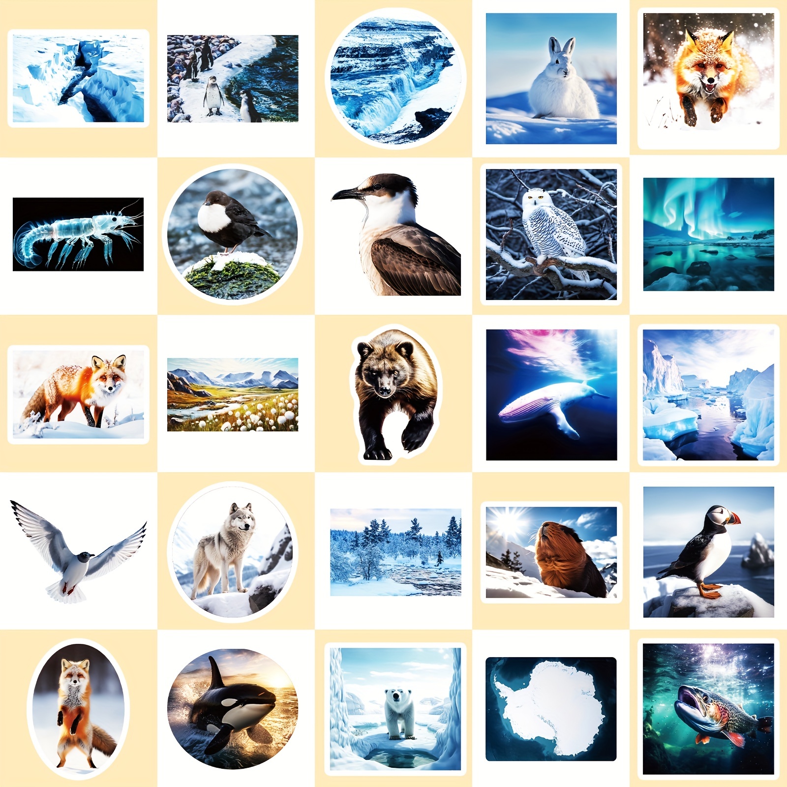 Arctic Polar Animals Water Bottle Labels Winter Waterproof 