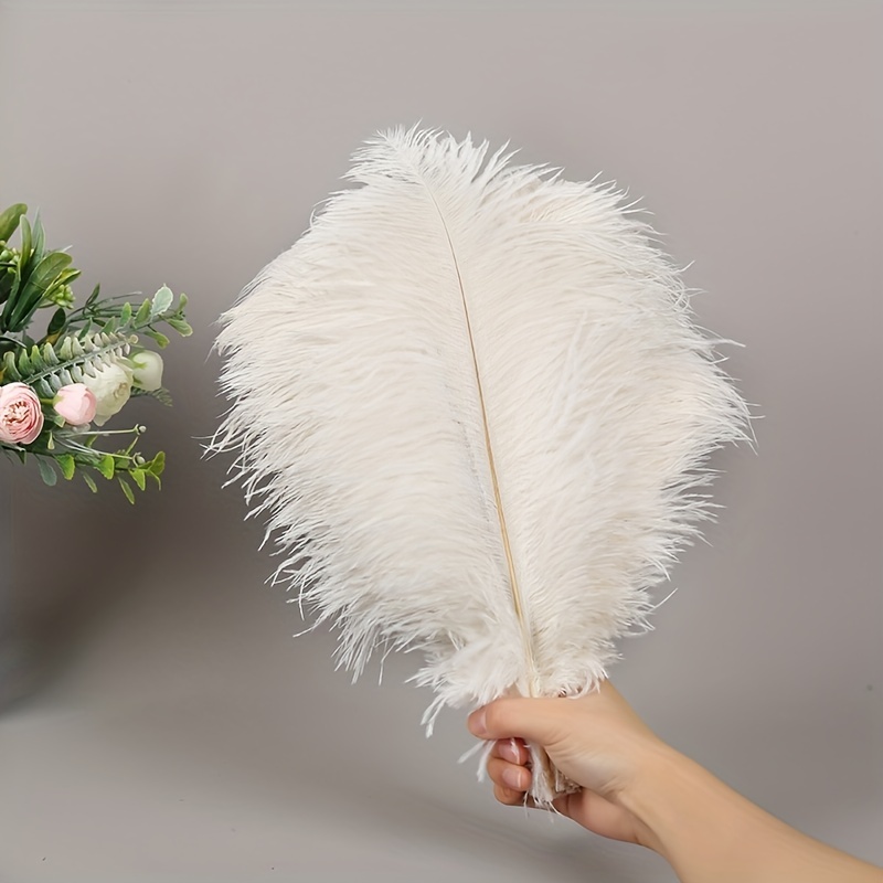 Hand Selected Natural Ostrich Feathers Diy Christmas - Temu