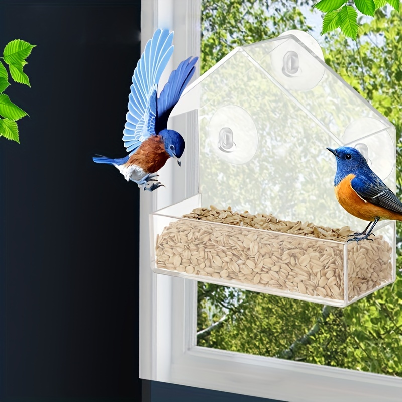 Mangeoire À Oiseaux Acrylique Transparent Fenêtre Mangeoire - Temu Canada