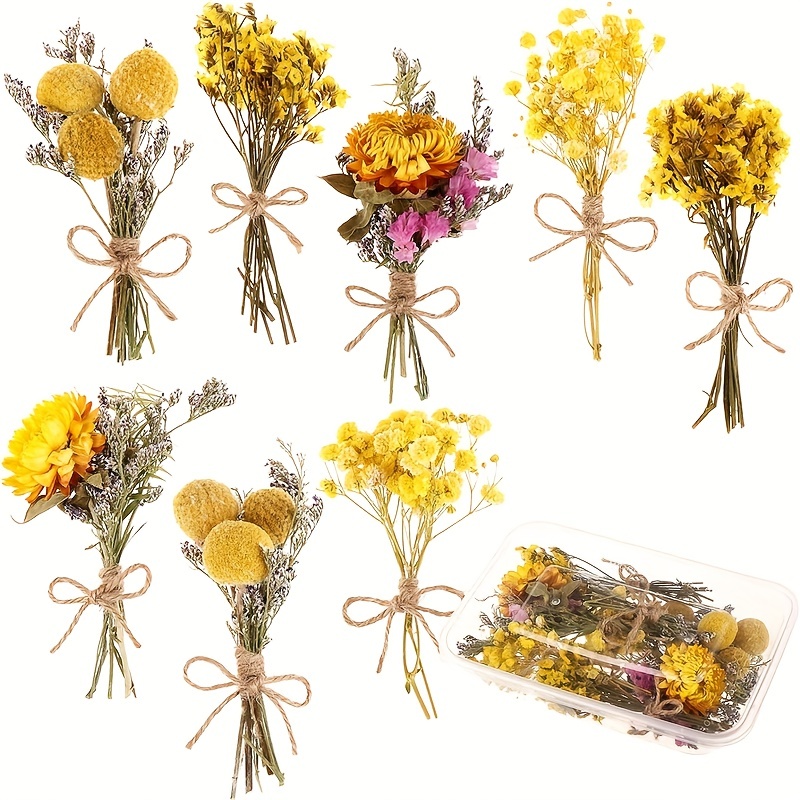 8Pcs Mini Ramilletes De Hierba De Cristal Natural Bouquets De Flores De  Eucalipto Flores Secas Ramo De Flores Y Hojas Secas Paquetes De Flores  Tallo D