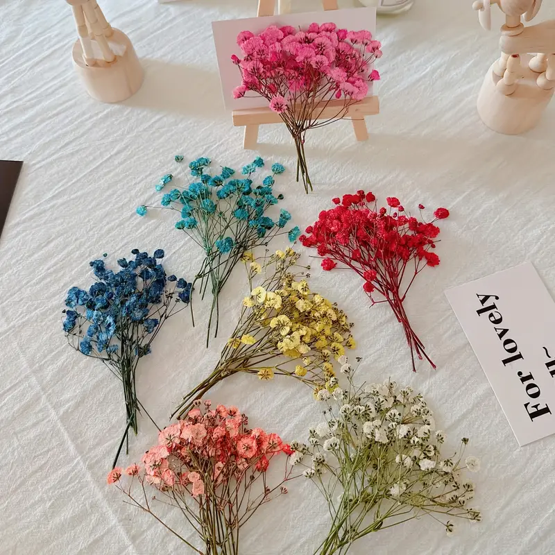 Dried Flower Set: Real Pressed Flowers Leaves For - Temu