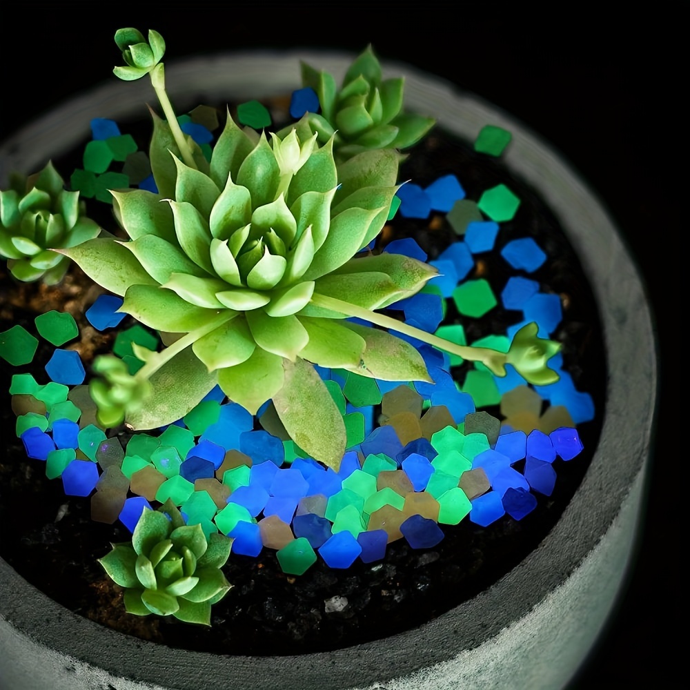 Acheter La lueur sombre dans les galets lumineux 50 pièces pour allées de  jardin en pierre d'aquarium