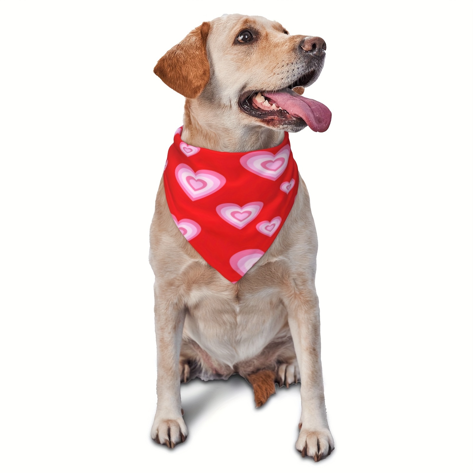 Dog Bandana, Red Heart Valentine