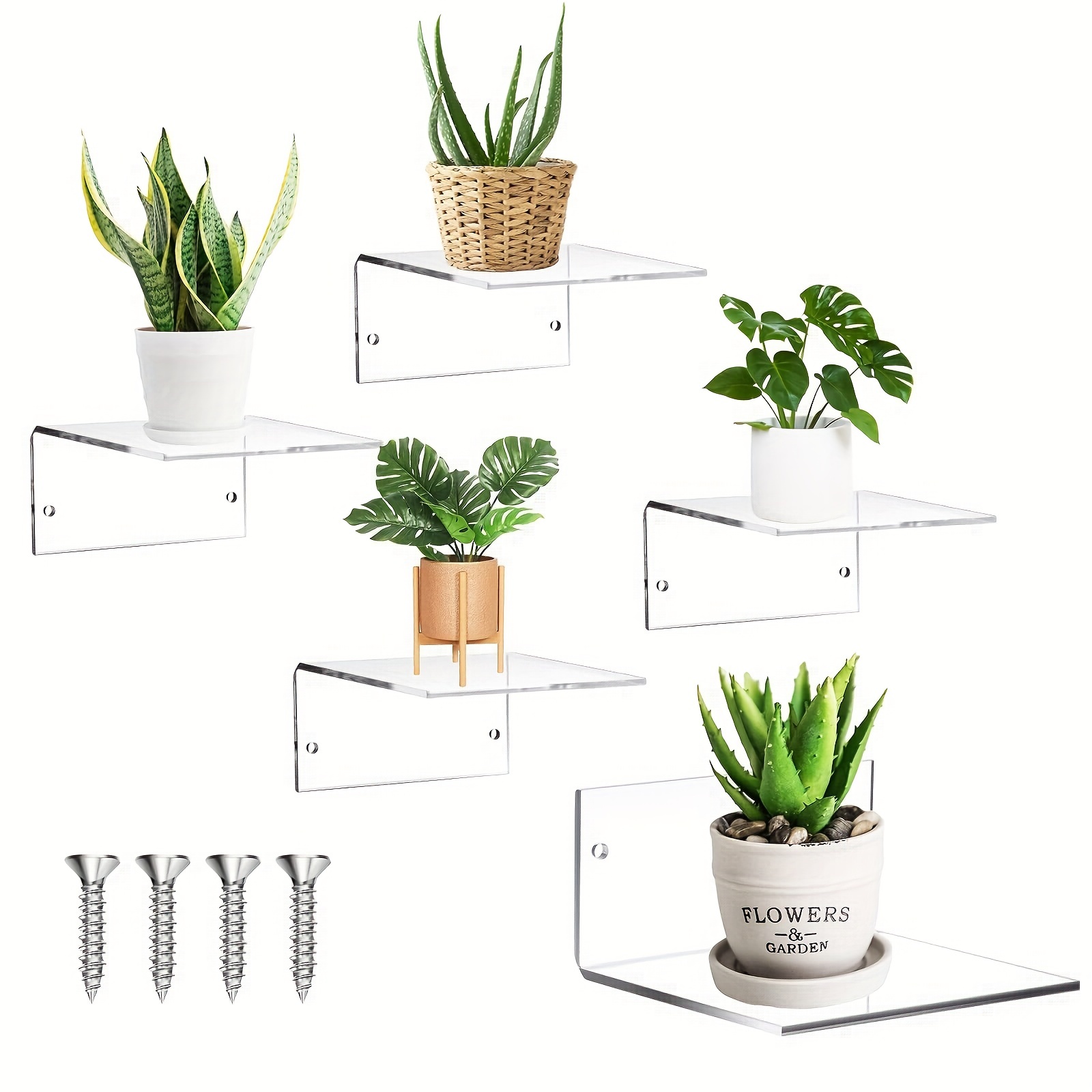 Acrylic Transparent Small Wall Shelf, Mini Floating Shelf, Wall