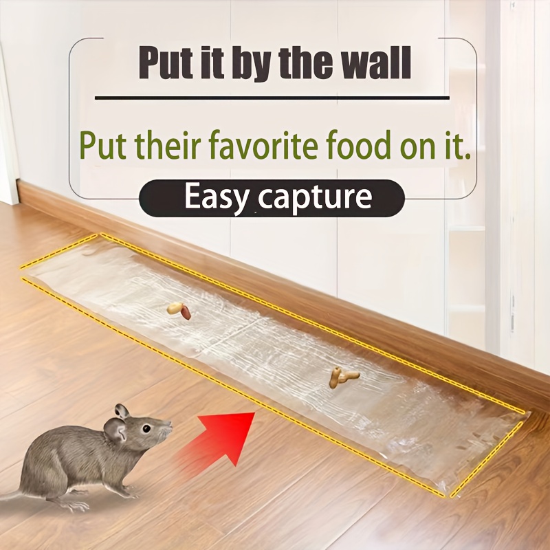 Mouse Traps Indoor for Home, Live Mouse Traps No Kill, Reusable Mice Small  Rat Trap Catcher for House & Outdoors,Grey 