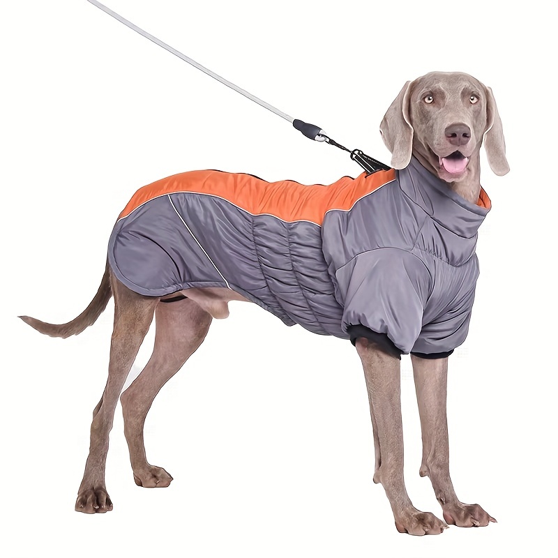 Manteau Chien Vestes Sweat shirt Coupe vent pais Thermique Gardez