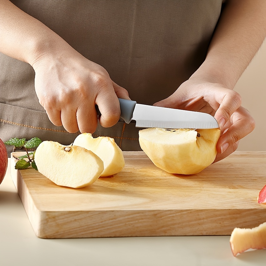 Paring Knife 3.5 inch - Ultra Sharp Fruit Knife with Safety Sheath Chef  Knife