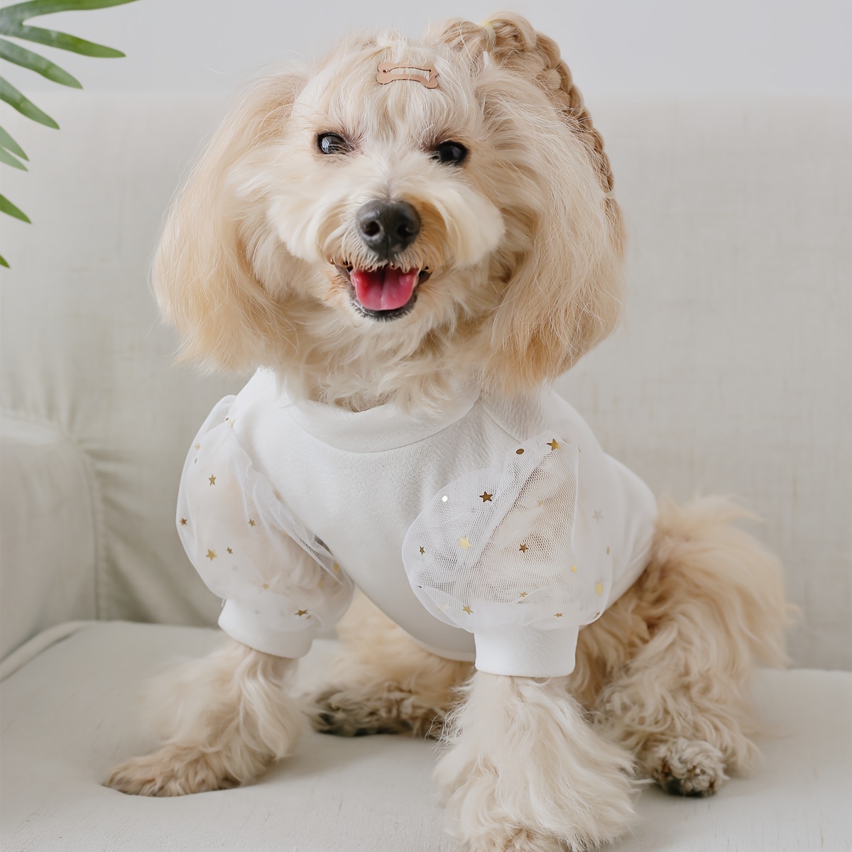 Dog store clothing ireland