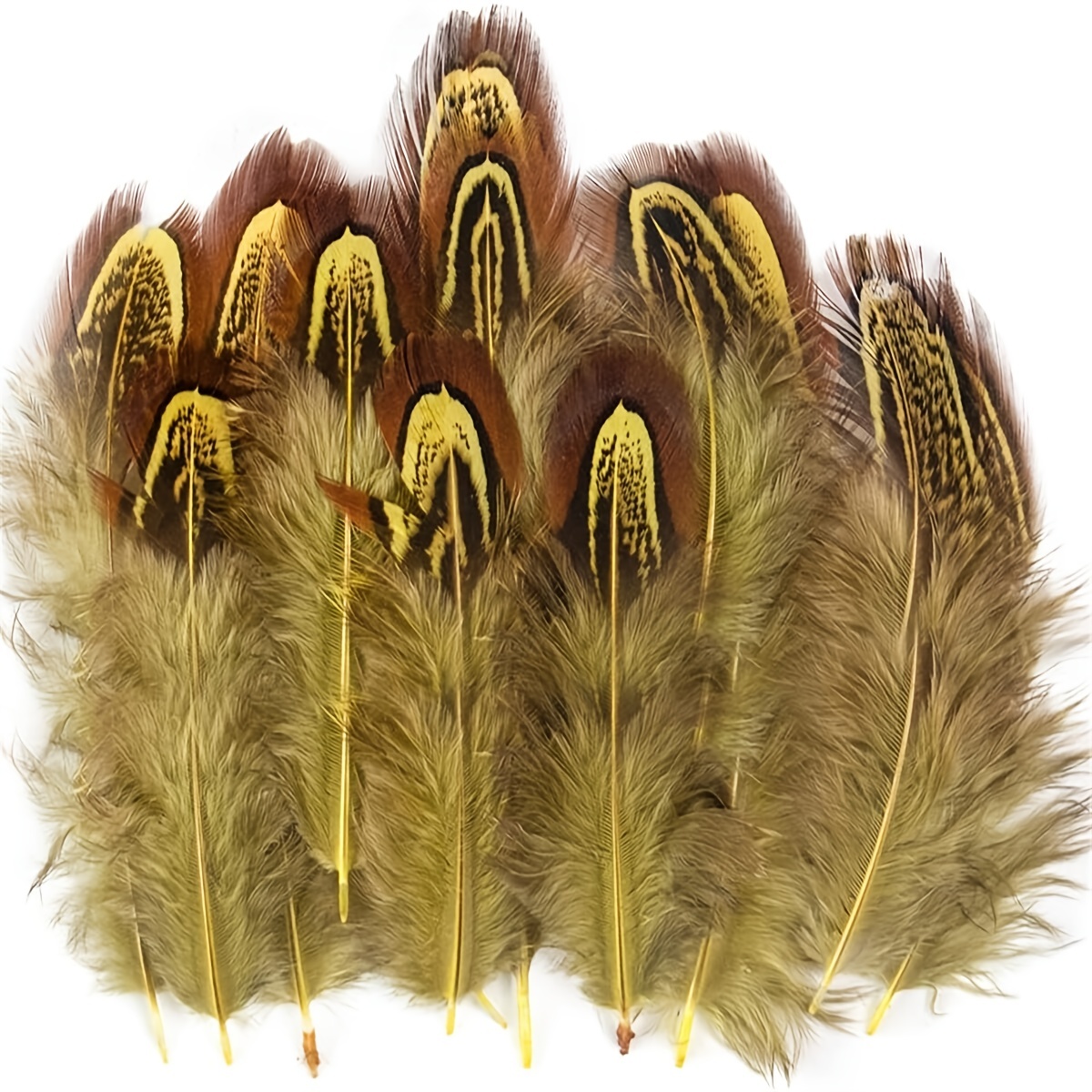 Natural Pheasant Feathers / Plumage Crafts Clothing Sewing - Temu