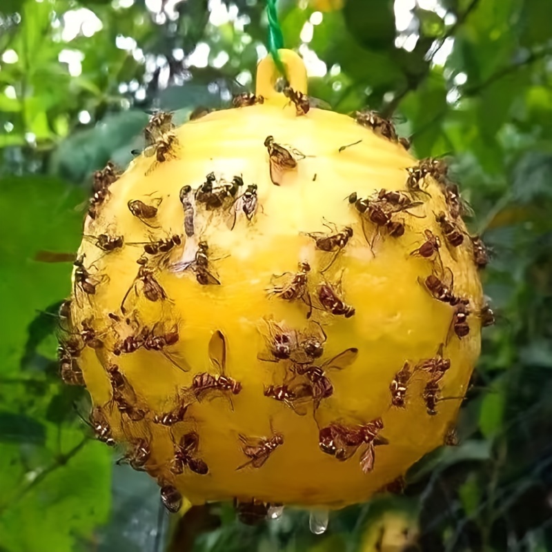 Reusable Hanging Pumpkin Shape Fly Trap Pest Repeller - Temu