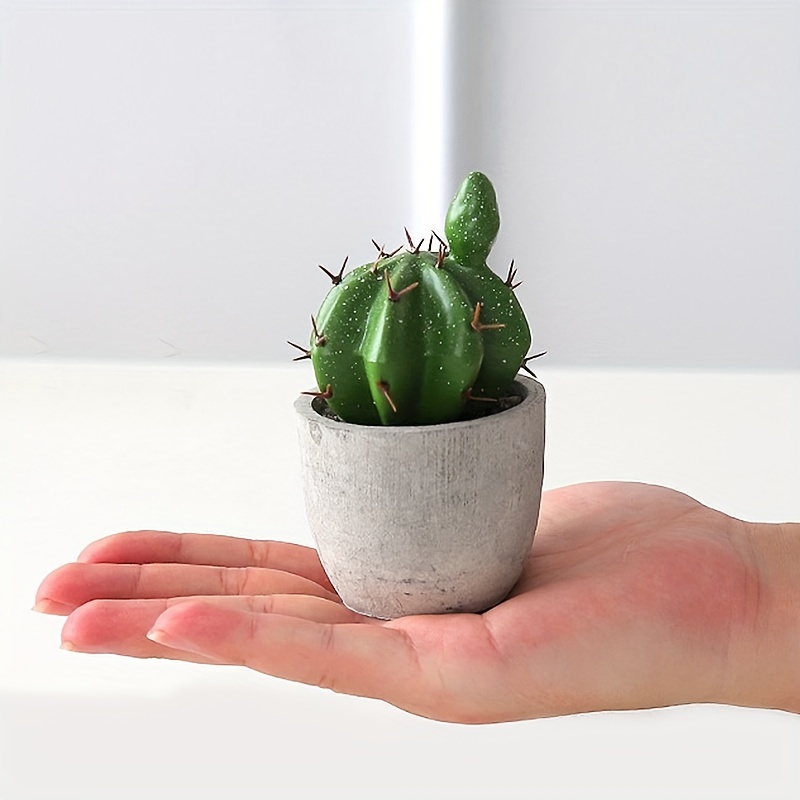 Piante succulente artificiali Cactus finto-decorative Piante grasse finte  Cactus di cactus finti in vaso con roccia e sabbia, Cactus finto  artificiale per bagno / casa Decorazioni per la casa fai-da- : 