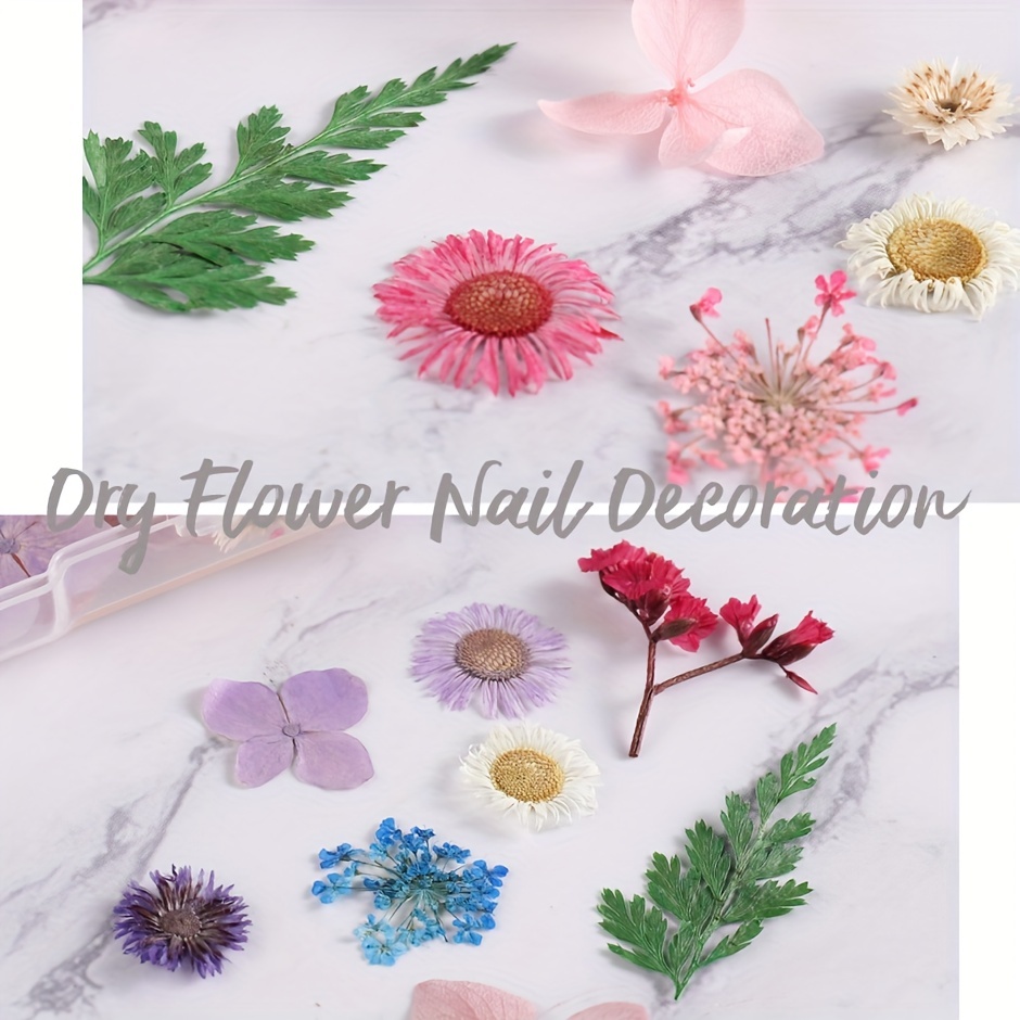 Kitcheniva 3D Real Dried Flowers Nail Art Decors DIY Tips