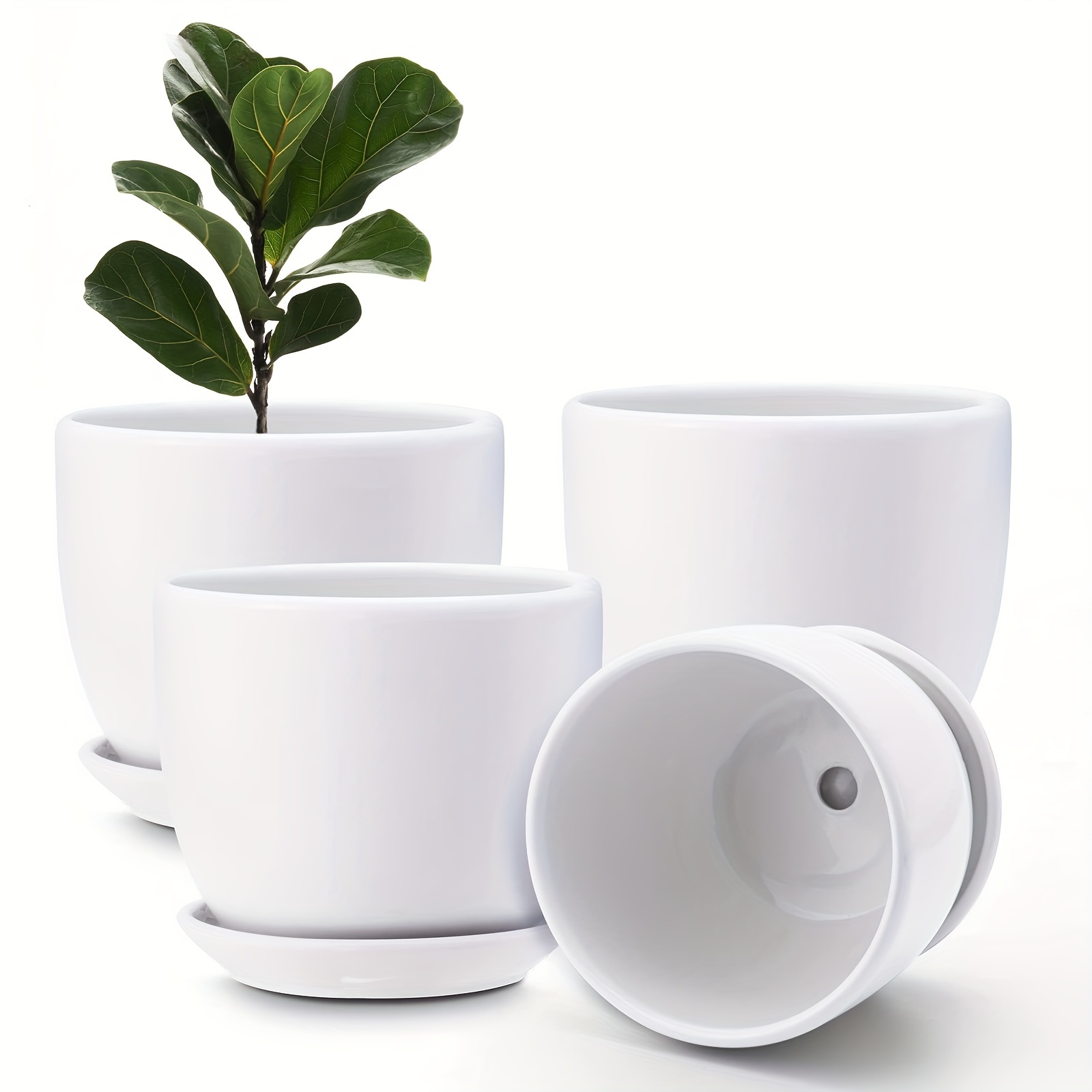 Stylish Ceramic Vase For Indoor Plants Perfect For Succulents And