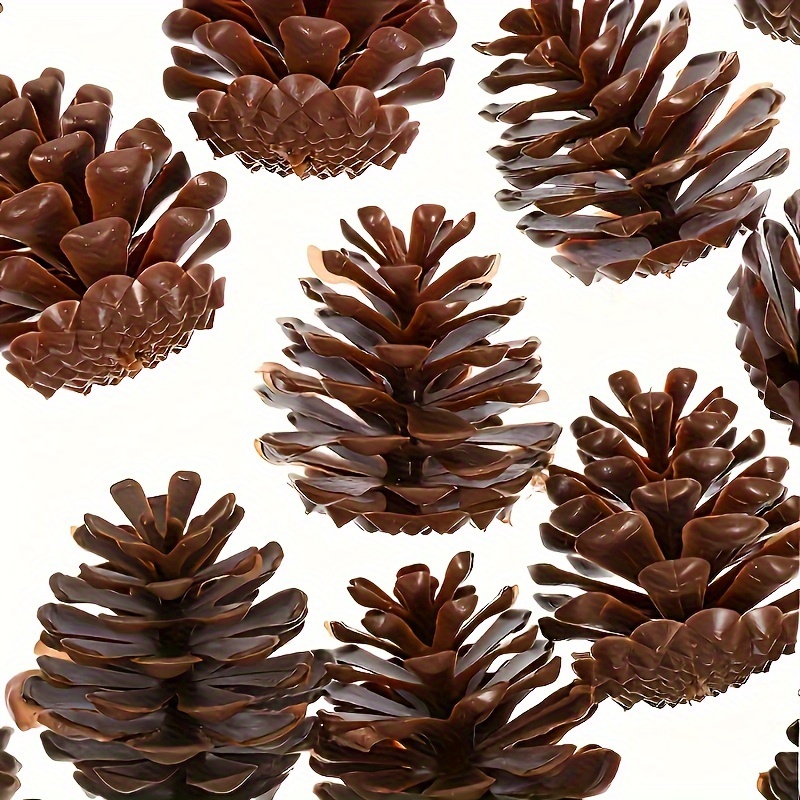Holiday & Christmas Gifts Ideas for Men - Pinecones and Acorns