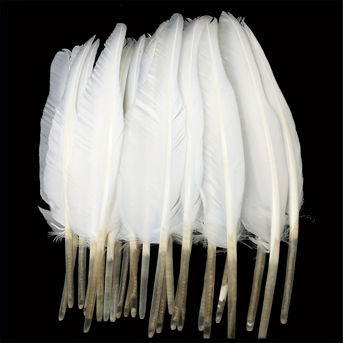 Plumas blancas con punta de oro, 40 piezas plumas de ganso naturales  Artesanías de hadas