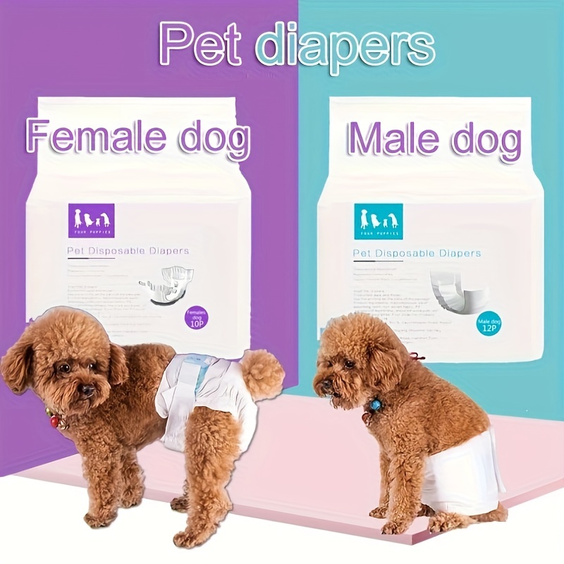  Pet Soft Pañales desechables para perras, pañales desechables  para gatos, pañales para cachorros, 8 unidades, XS : Productos para Animales