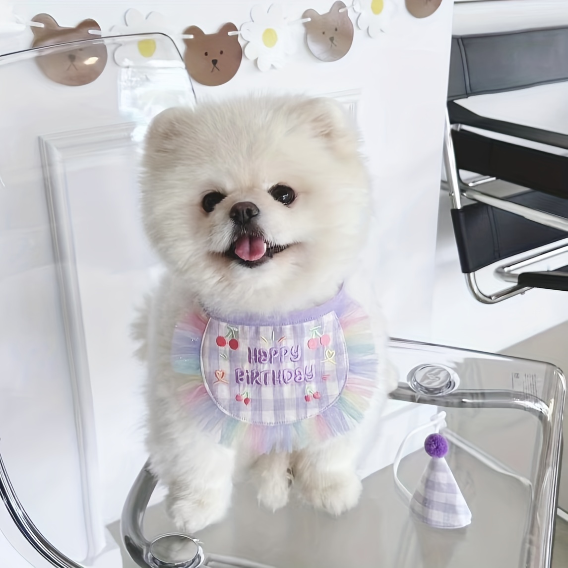 Dog birthday clearance bib