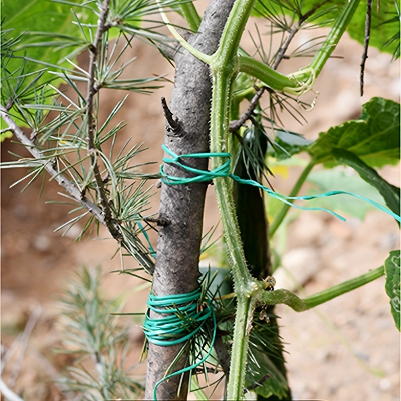 Iron Wire Tie Bandage Perfect For Gardening Plant Bundling - Temu