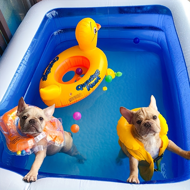 BestPet Piscina grande para perros de 64 pulgadas, piscina plegable de  plástico duro para perros, bañera portátil para niños, perros y gatos,  piscina