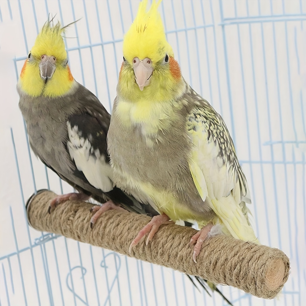 Nid de Reproduction d'oiseaux, Nid d'oiseau en Bois avec perchoir,  Accessoires de Cage à Oiseaux pour calopsittes, inséparables, perruches,  pinsons