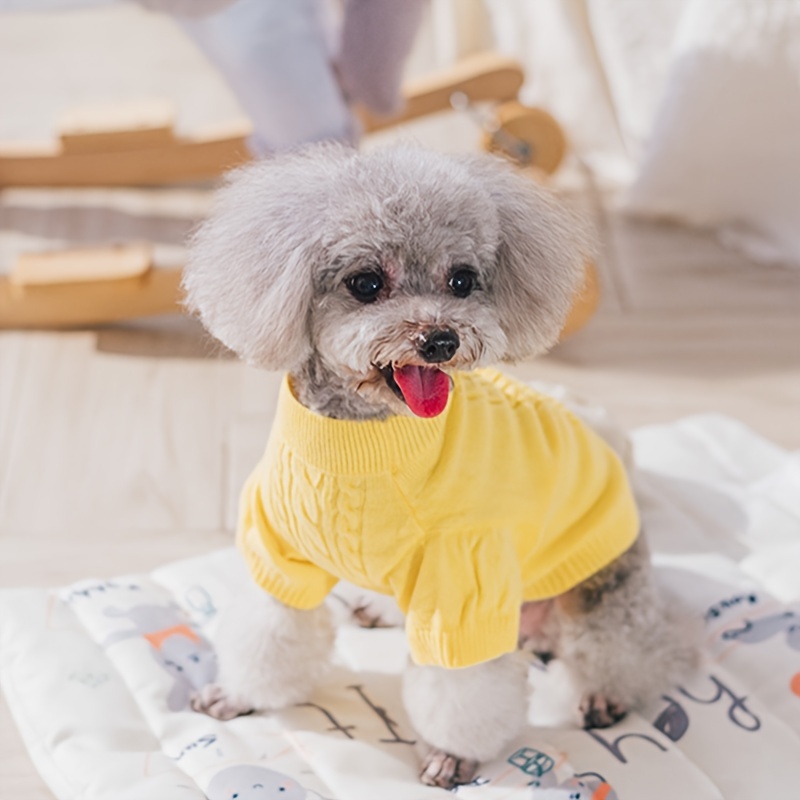 トップ 大型犬のセーター