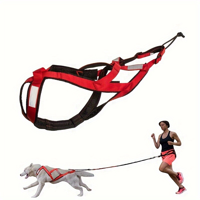 Baby Sled With Harness - Temu