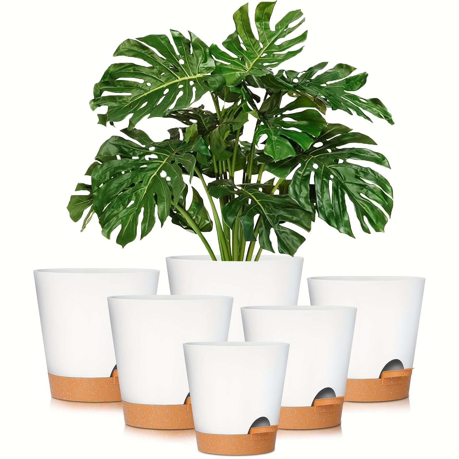 1 Pack Self Watering Planters 6 Inch Plant Pot Self Watering Pots for  Indoor Plants Plastic Plant Pot for African Violets, Flower Pots ,Plant Pots  Indoor, White 