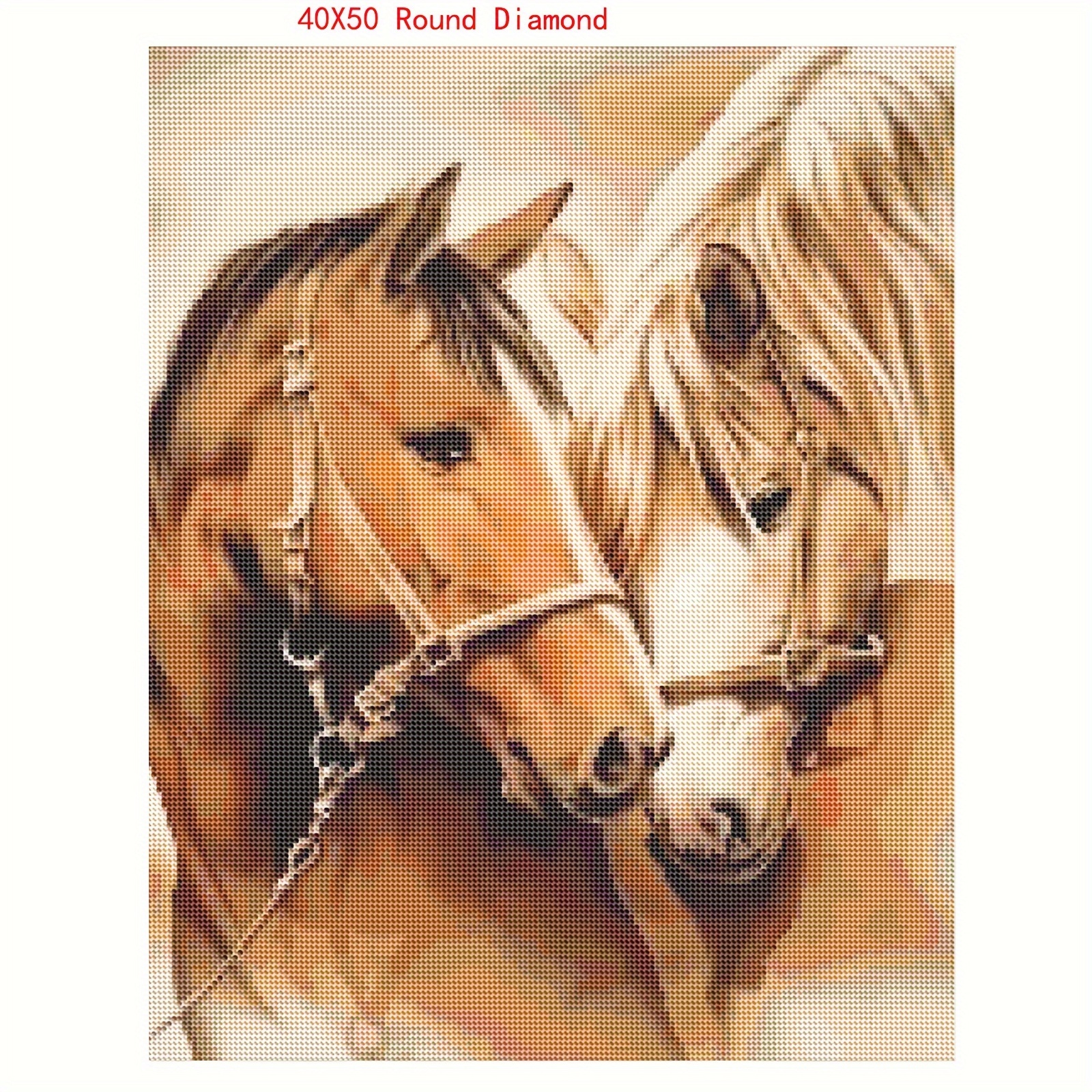5D DIY Diamond Painting Horse Mosaic Art Diamond Embroidery Animal Full  Diamond Picture Rhinestone Cross Stitch Home Decor Gift