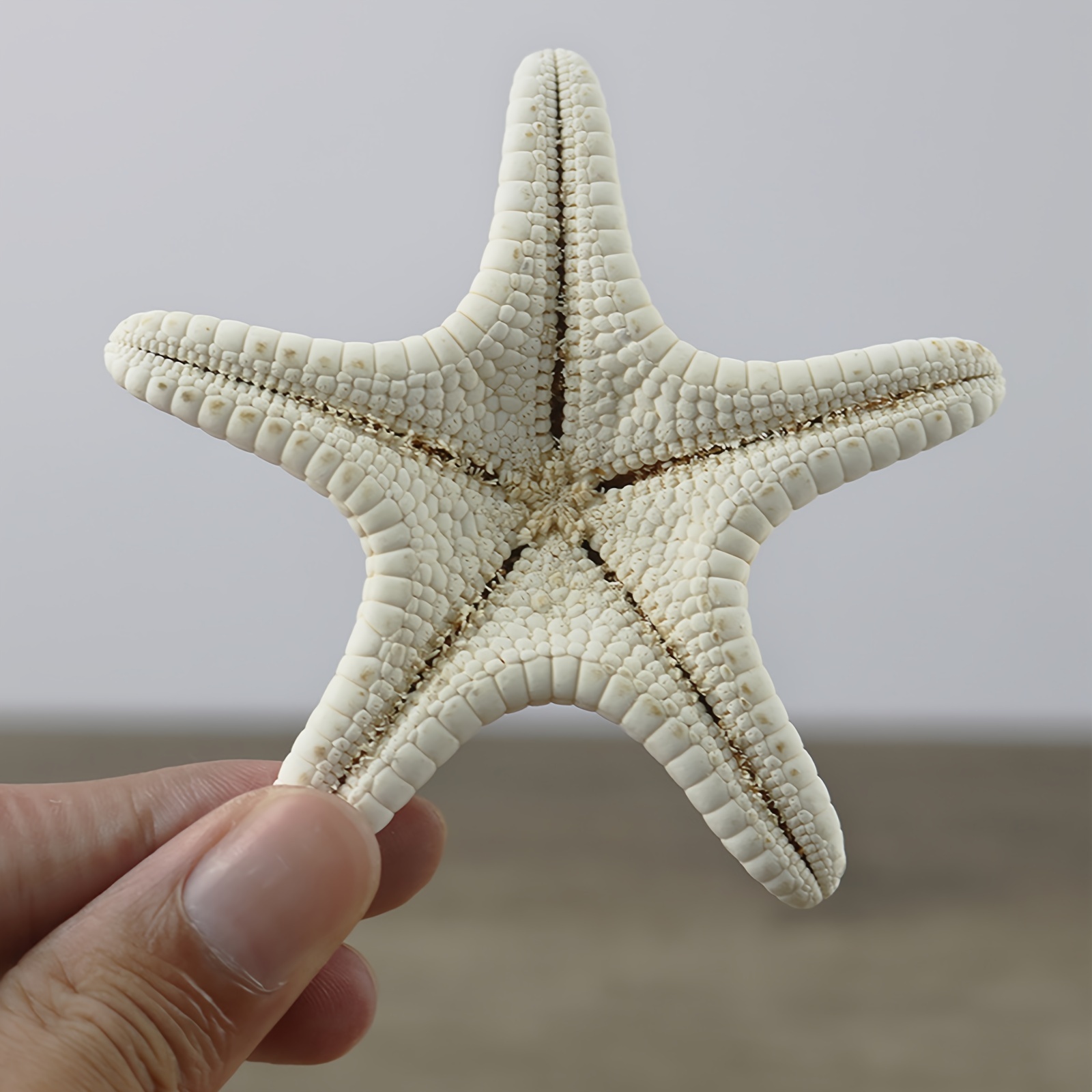 Artificial Starfish Vase Filler Natural Bulk Starfish Shells - Temu