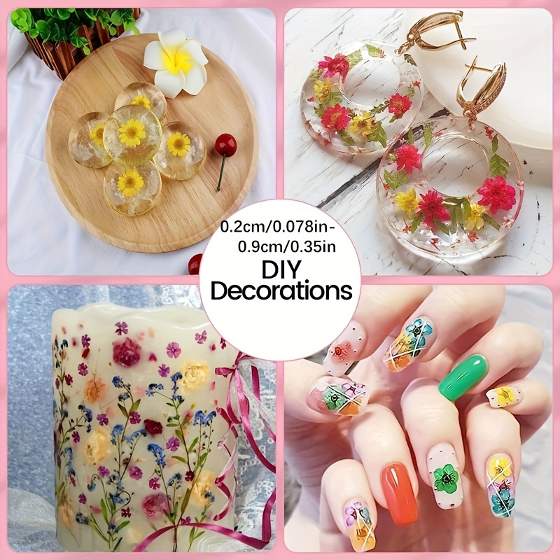 Small Dried Flowers,mix Dry Flowers,flowers for Resin,floral Decor