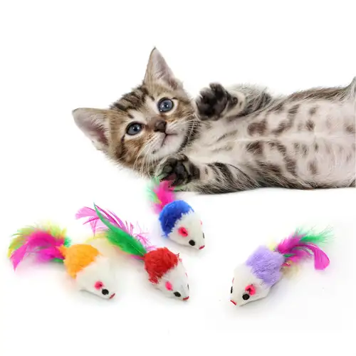 Fun: Cat Toys Assortment Catnip Feather Teaser Fish Mice ! - Temu