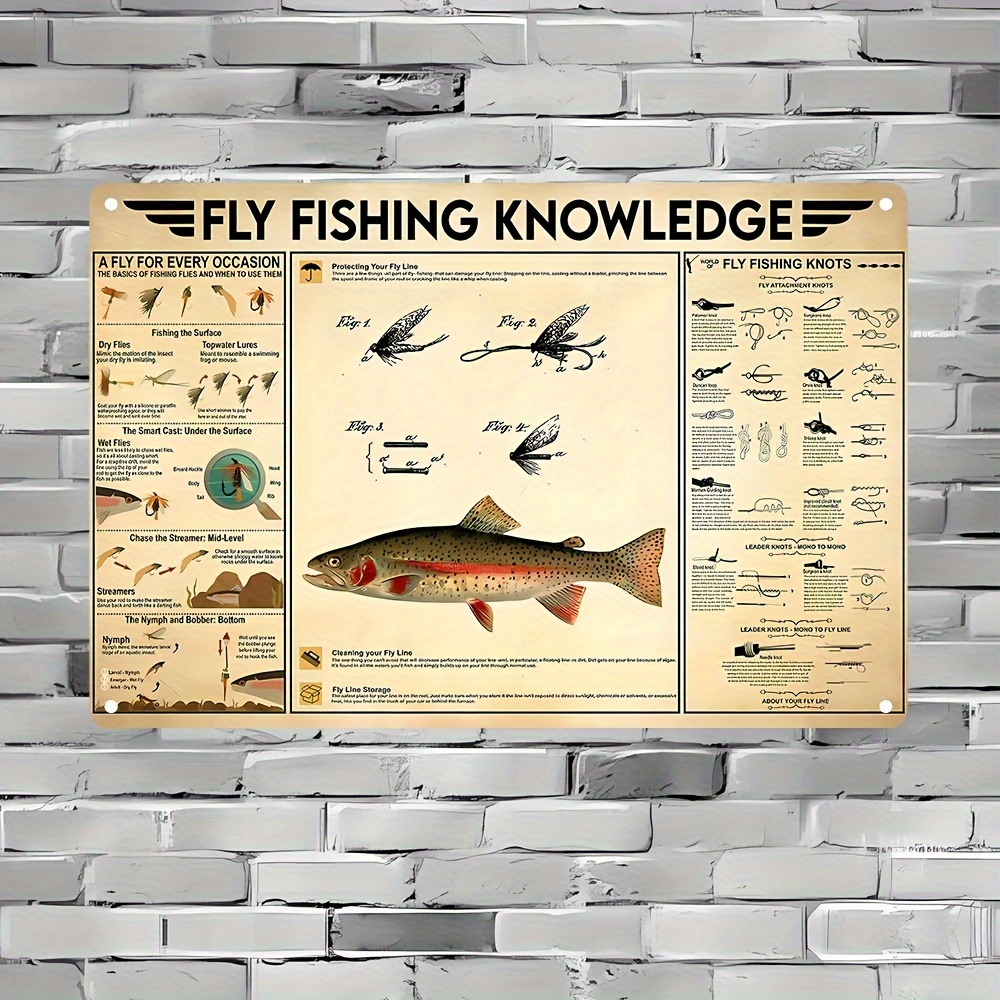 Fly Fishing Knowledge Anatomy Of Fish Fishing Fact Fisherman