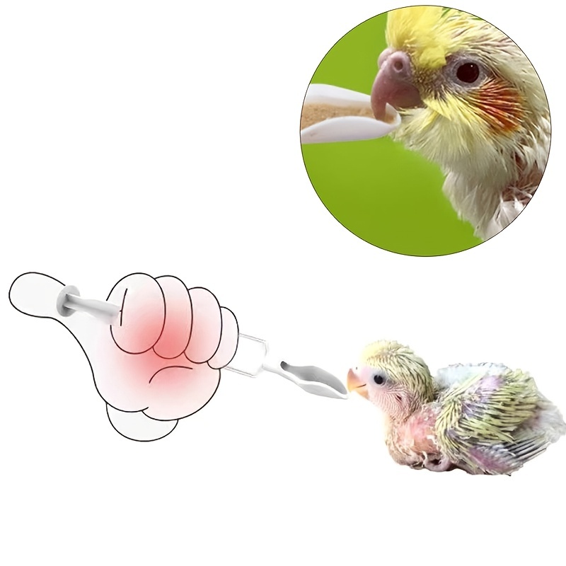 Bird Baby Feeder Plastic Feeding Tool Pet Milk Needle