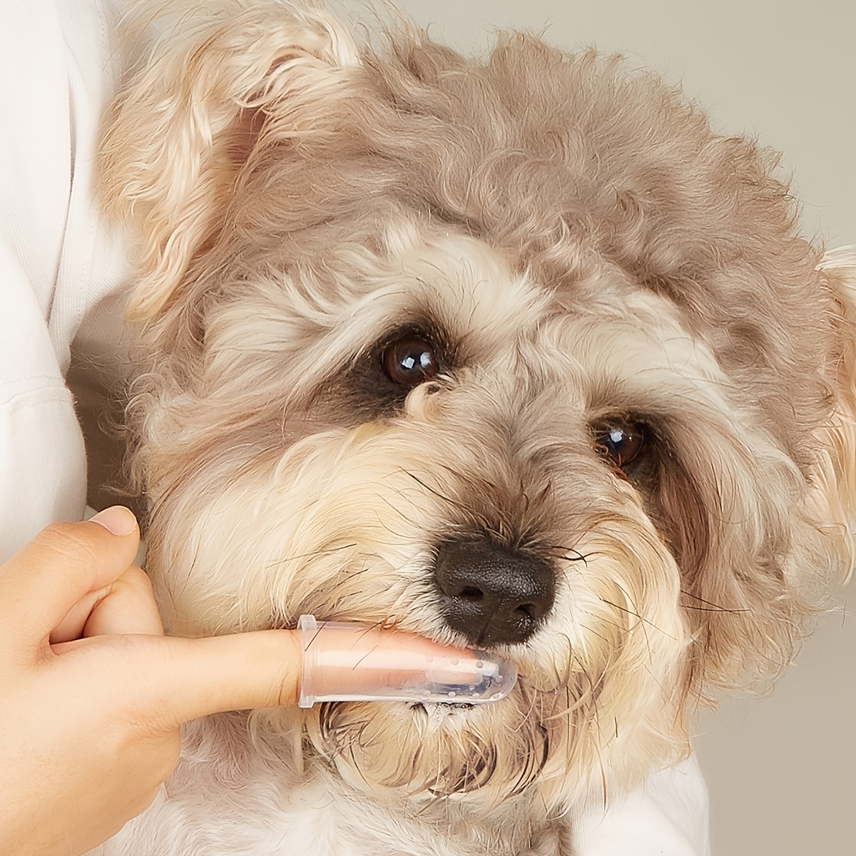 Dog 2024 finger toothbrush