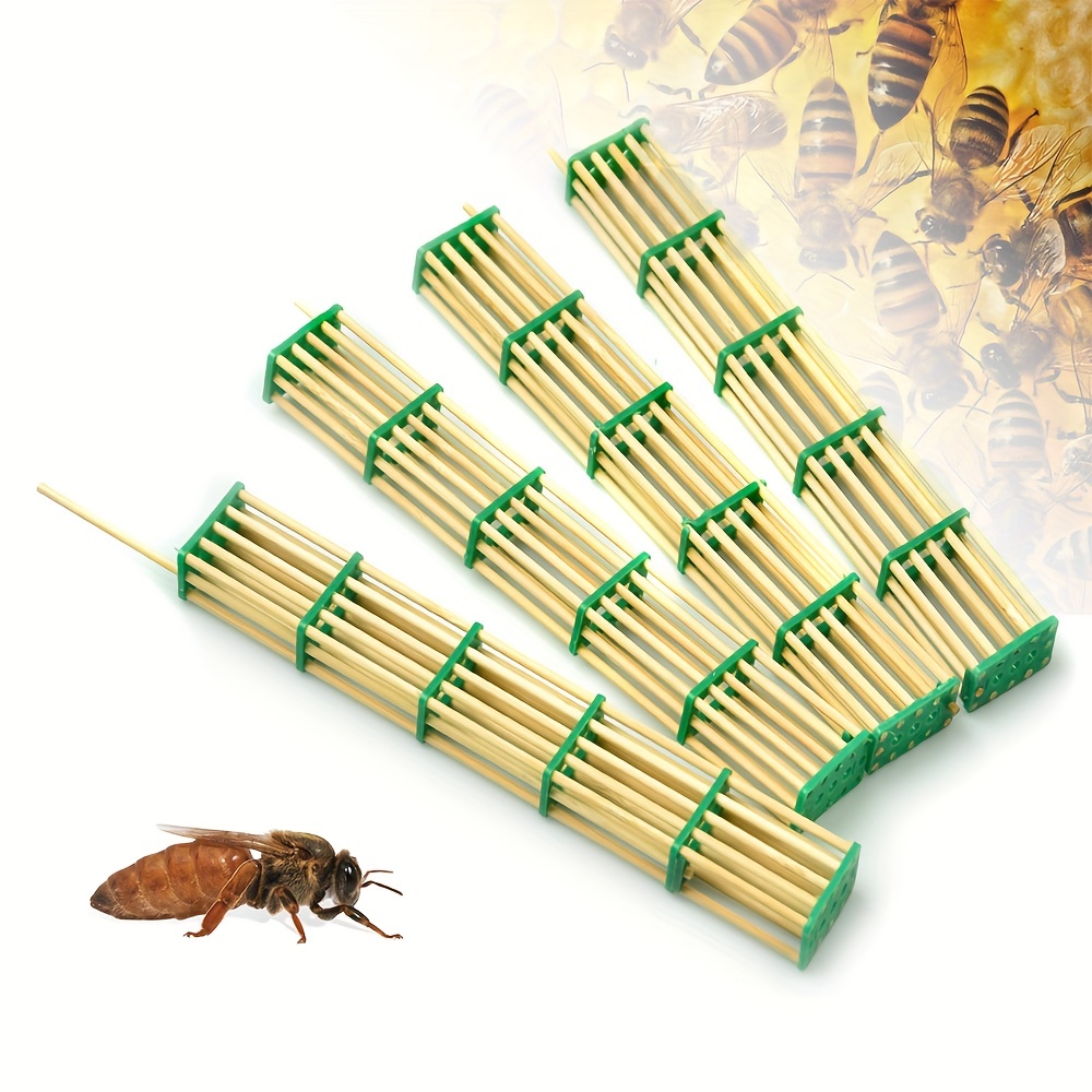 Outil Pour L'apiculture Matériel En Bambou Cage D'élevage - Temu