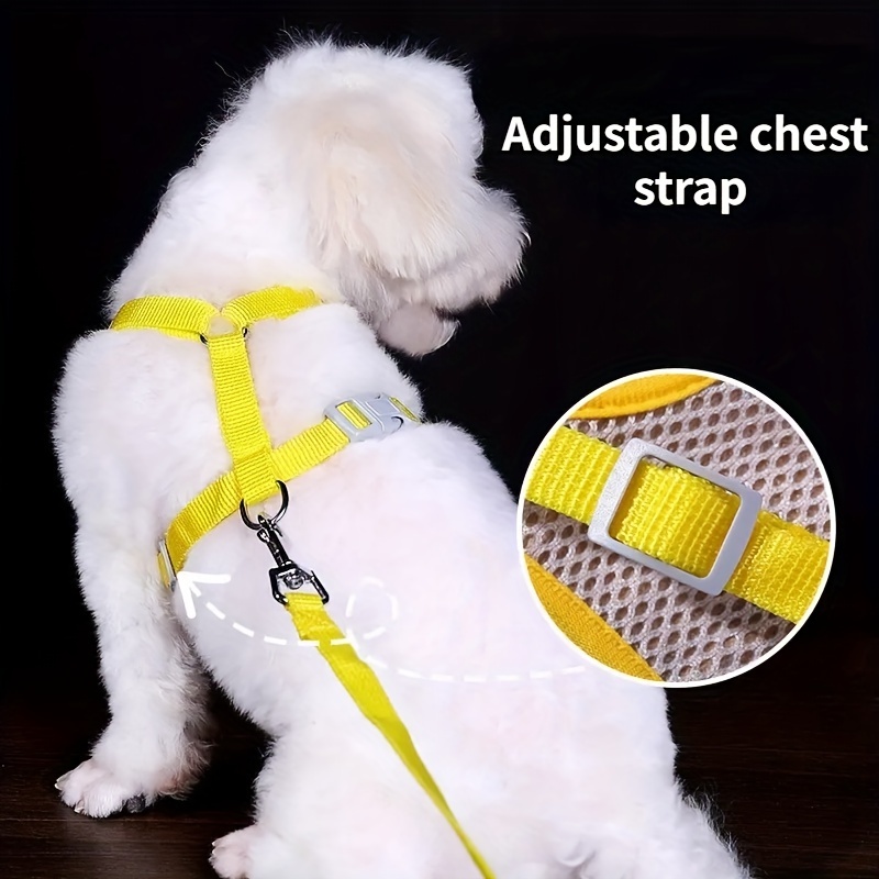 Chat tirant corde ménage gilet de style ceinture de poitrine mignon anti  casser lâche corde de chat chien chaîne de chat spécial