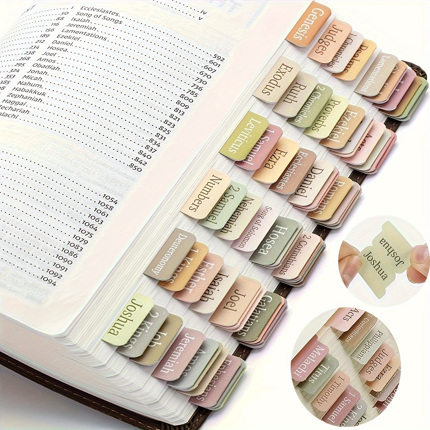 DiverseBee Spanish Bible Tabs (Large Print, Easy to Read), Bible Journaling Book Tabs, Christian Gift, 66 Bible Tabs Old and New Testament, Includes