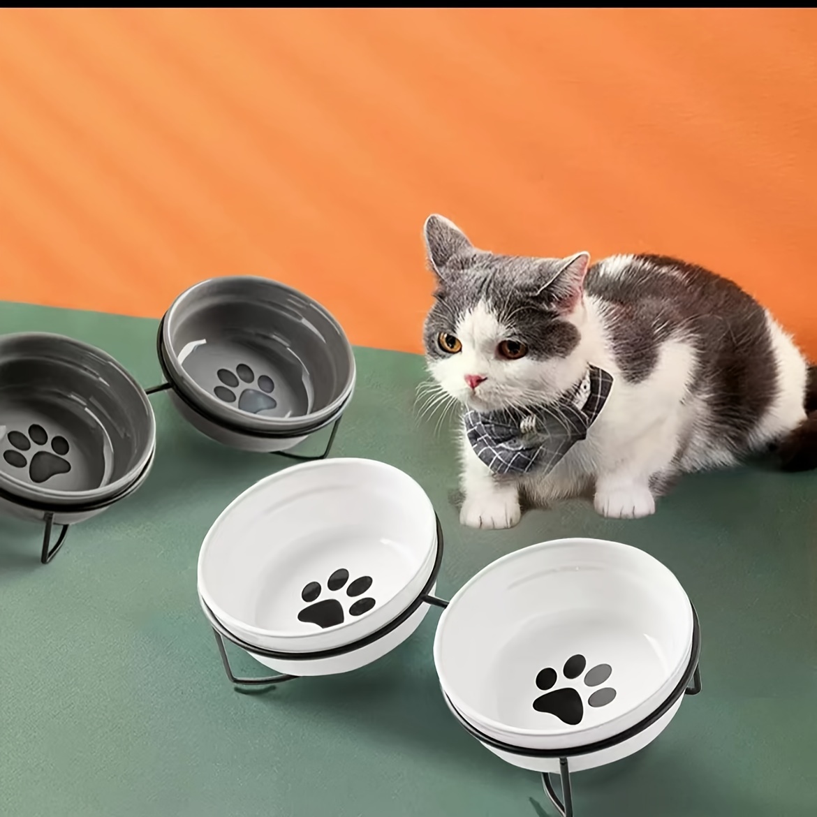 for Cat Food Bowls Elevated for Cat Bowls for Food and Water with Base Stand  Kit