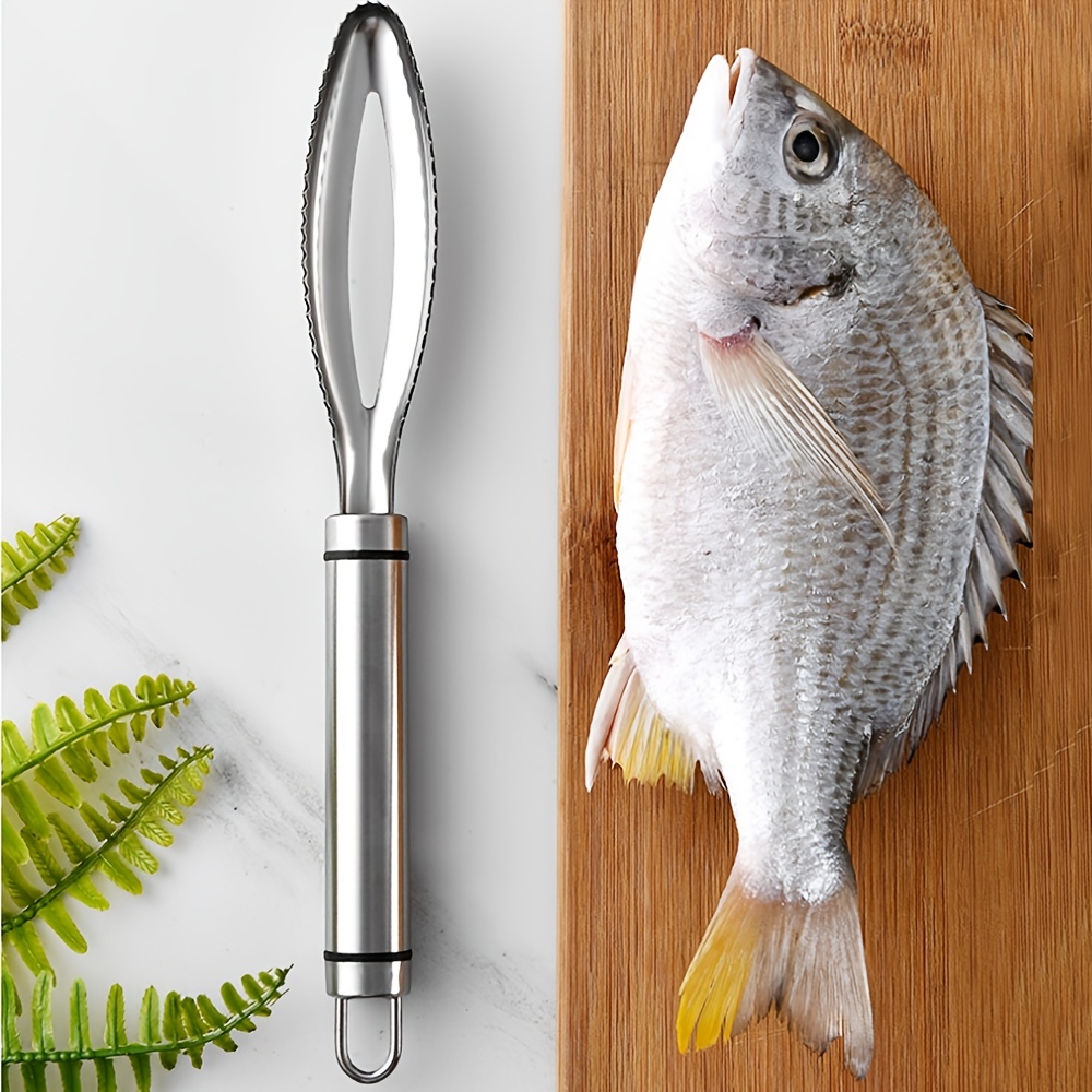 1 pièce écailleur à poisson brosse à peau brosse de pêche nettoyage rapide  couteau à poisson nettoyage éplucheur écailleur grattoir - Temu France