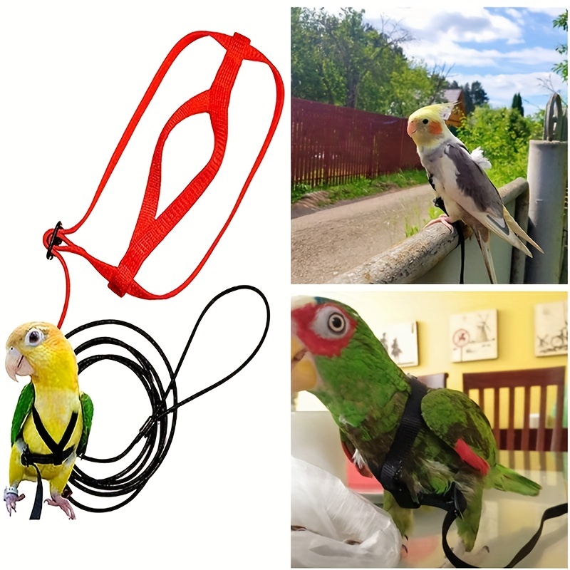 1pc Parrot Harness Rope large bird perch bird harness for conure Rope Bird