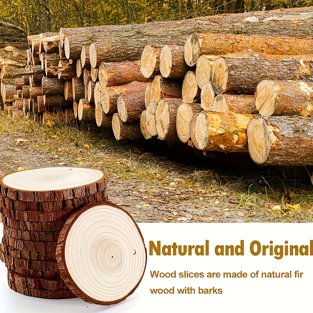 Set de 4 posavasos de madera natural, rodajas, troncos con corteza