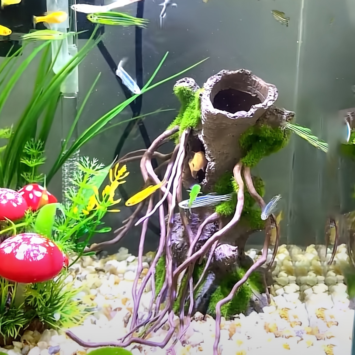 Betta Fish Tank Accessory - Temu