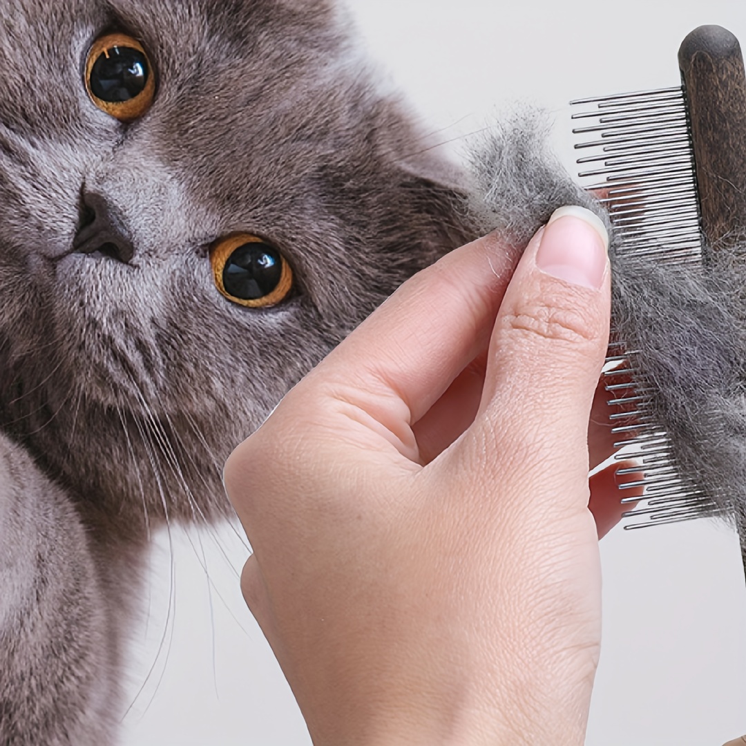 Hair cutting comb outlet for cats