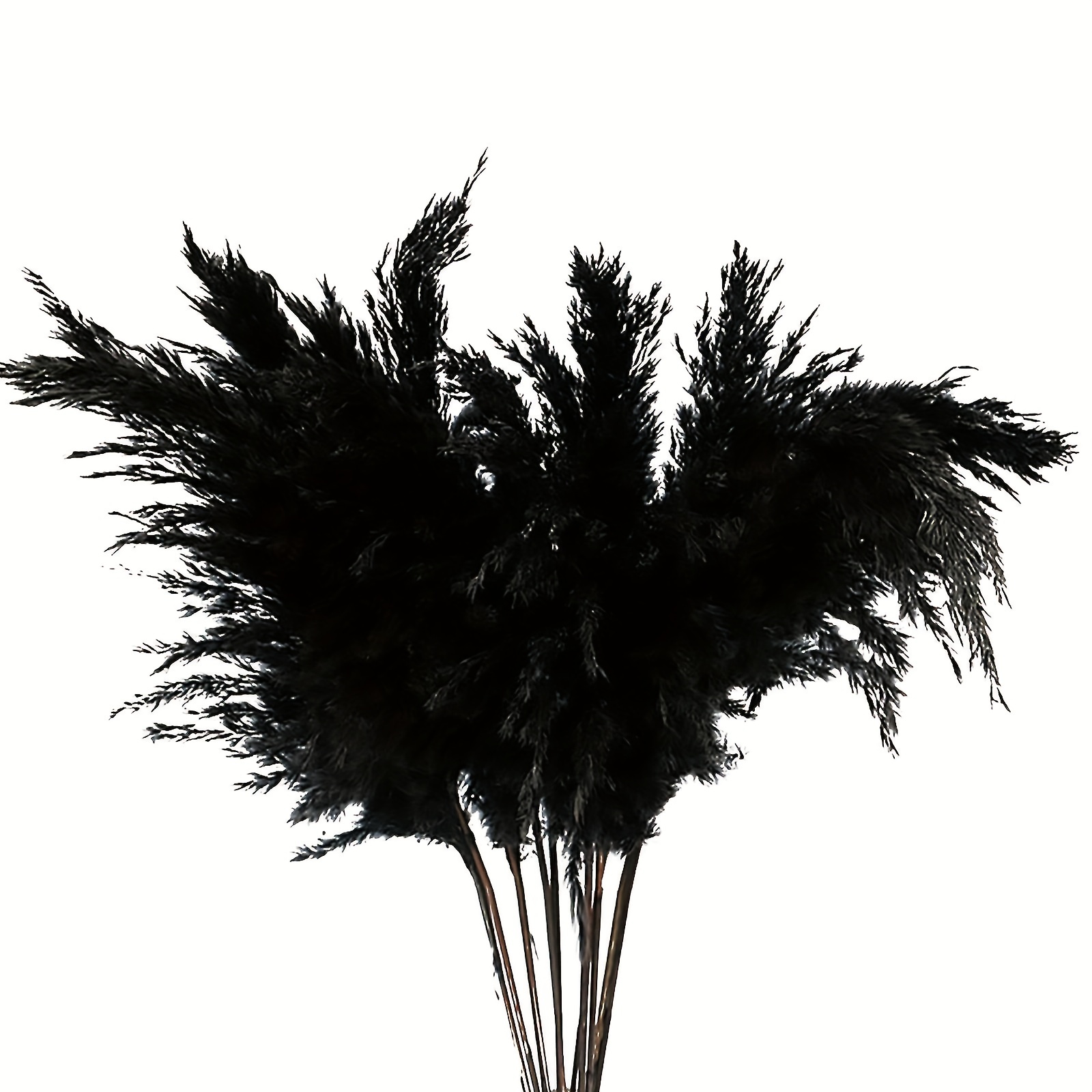 Pampas Monochrome Large Bouquet Black and White Black Dried