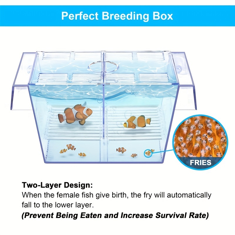 Boîte d'isolement de poisson Boîte d'élevage de poissons transparente