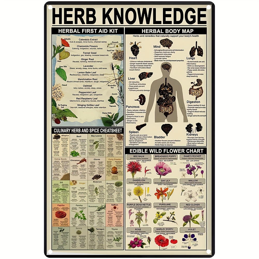 1pc herb knowledge aluminum sign 8x12 20cm 30cm metal sign herbal first aid kit infographic poster pharmacist study guide tin plaque home pharmacy office kitchen wall decor
