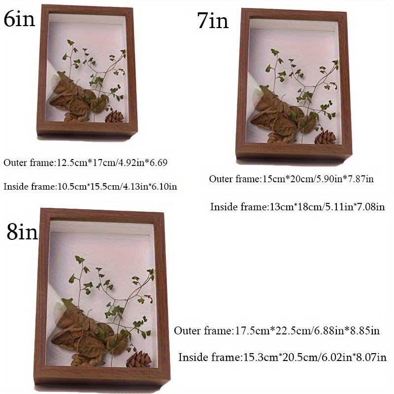 Three dimensional Hollow Specimen Photo Frame Dried Flower - Temu