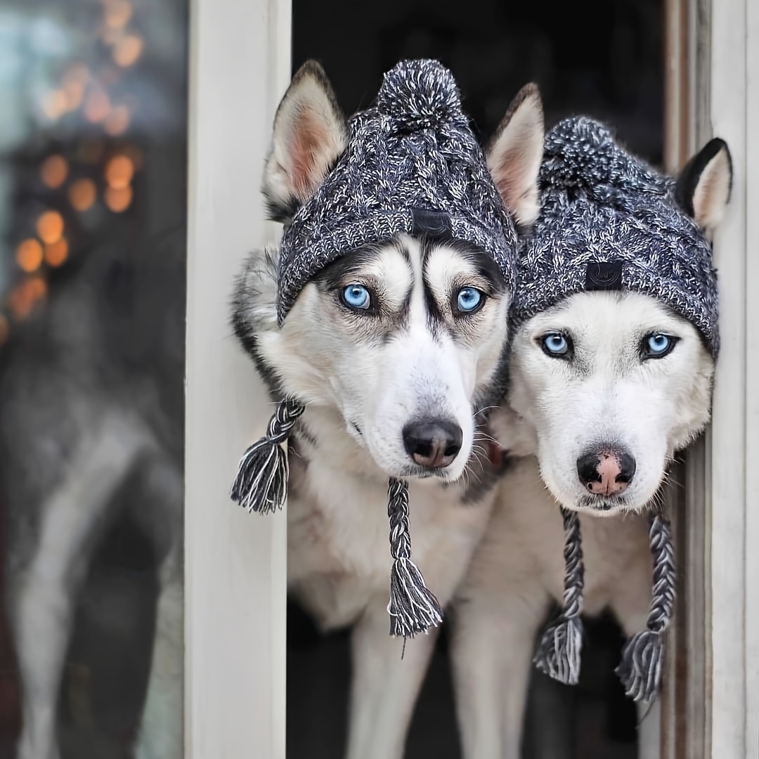 1pc ペット犬帽子、冬ソフト犬ビーニー帽子、暖かいペット犬ニット帽子