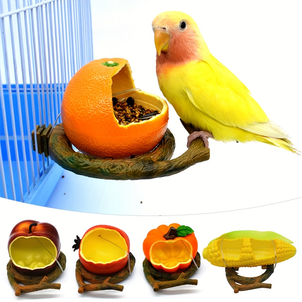 Mangeoires extérieures pour oiseaux de cages - Qualitybird - la