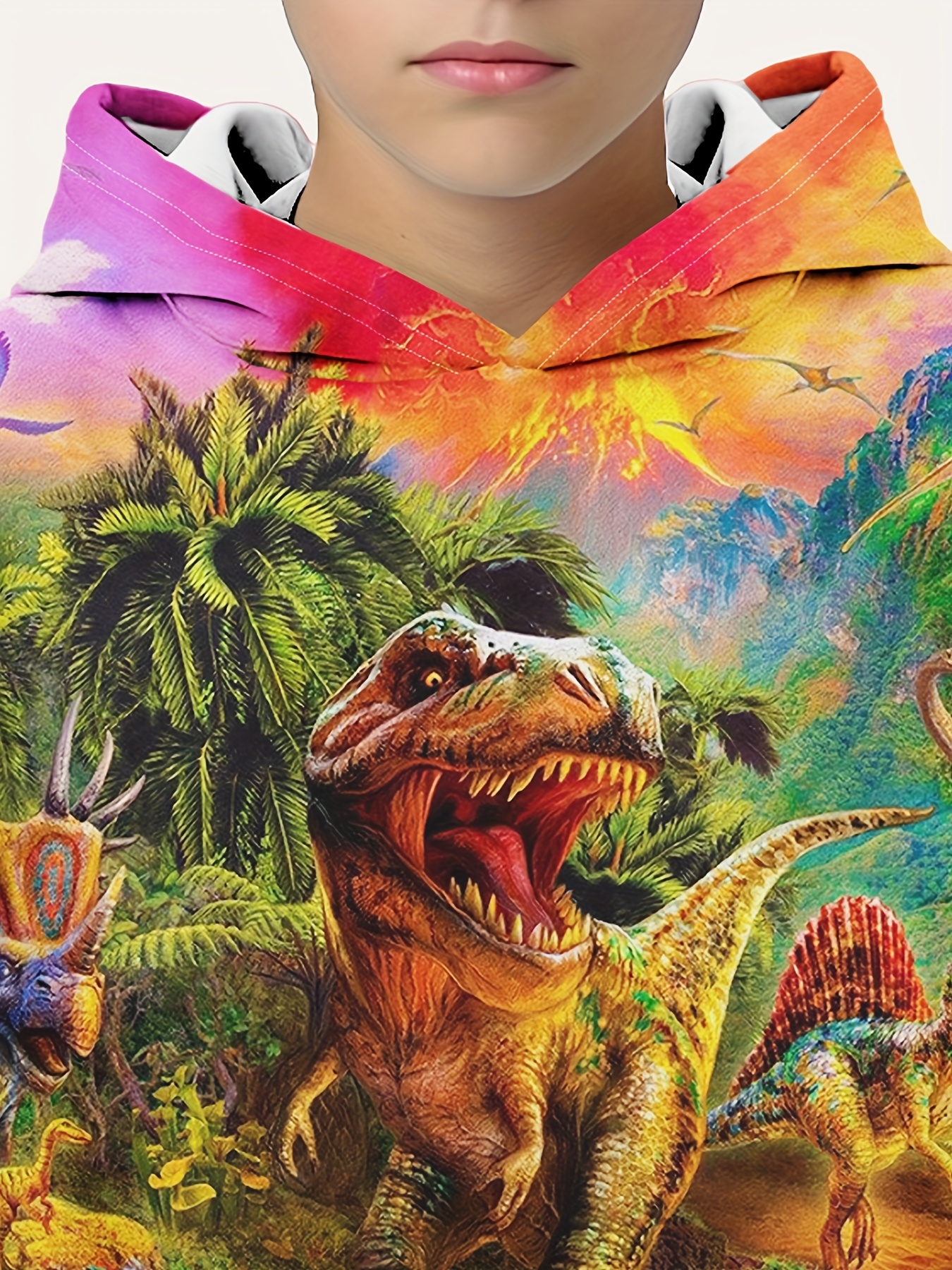 Long Print 3d Boys World Pullover - Casual Temu Dinosaur Colorful